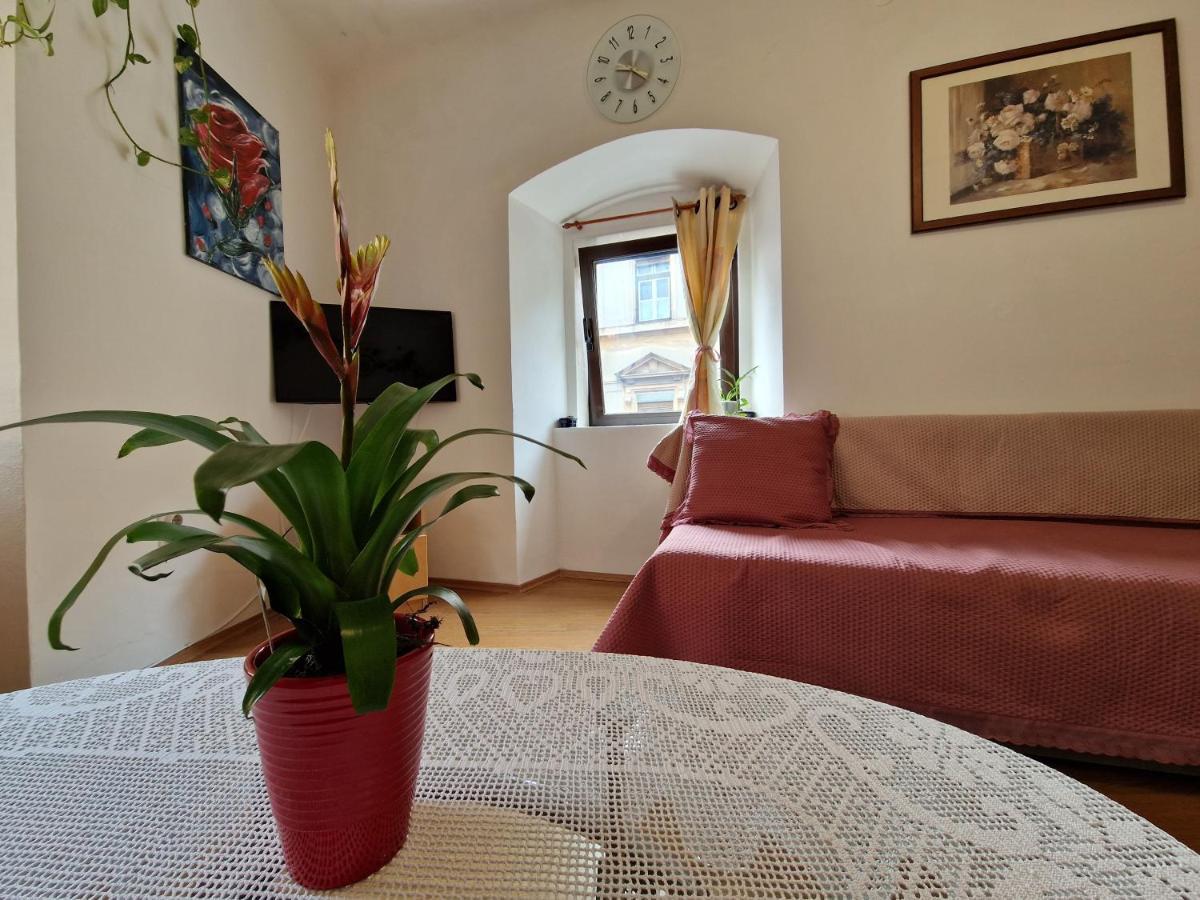 Apartman Vesna Leilighet Rijeka Eksteriør bilde